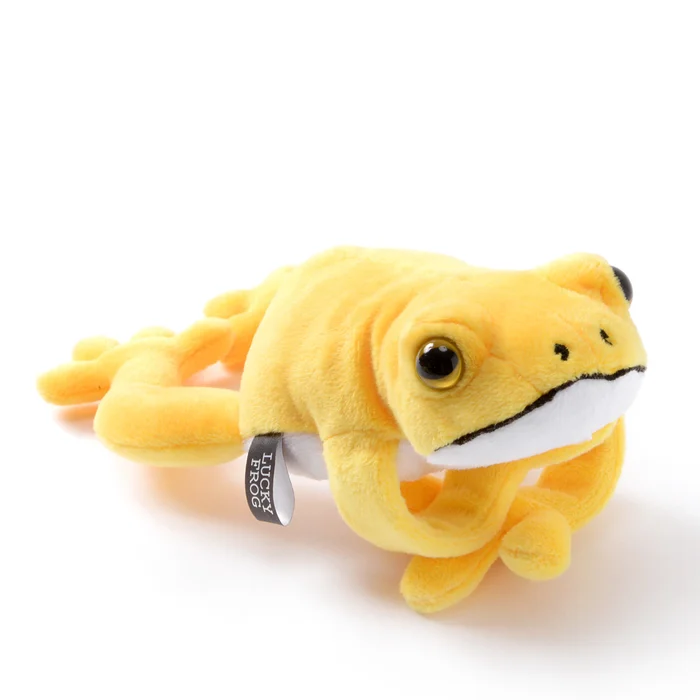 Lucky Frog Plush Collection - Image 3