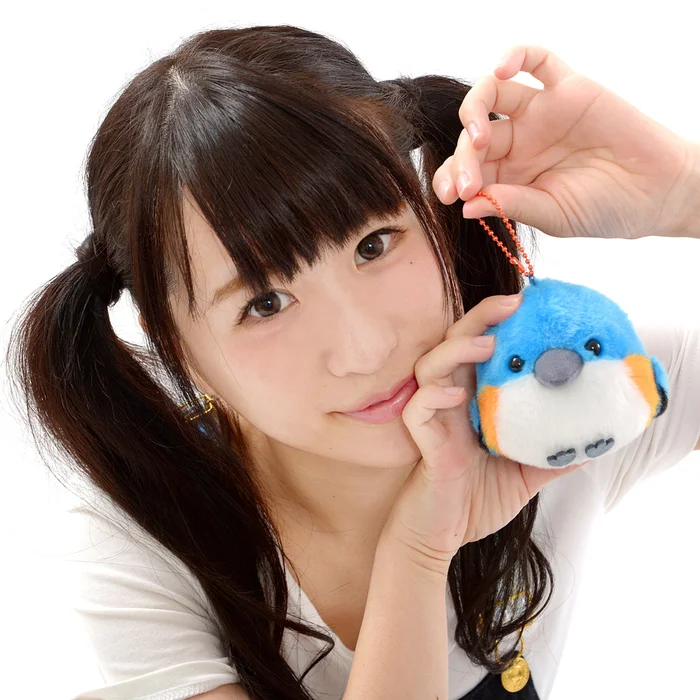 Kotori Tai Waku Waku Bird Plush Collection (Ball Chain) - Image 2