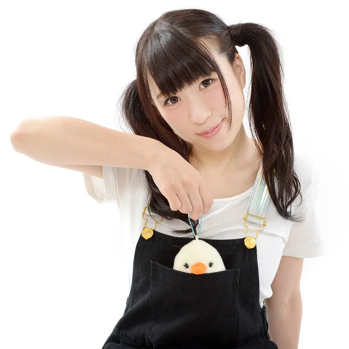 Kotori Tai Waku Waku Bird Plush Collection (Ball Chain) - Image 13